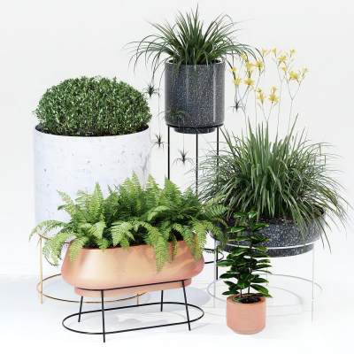 现代植物盆栽-20D1